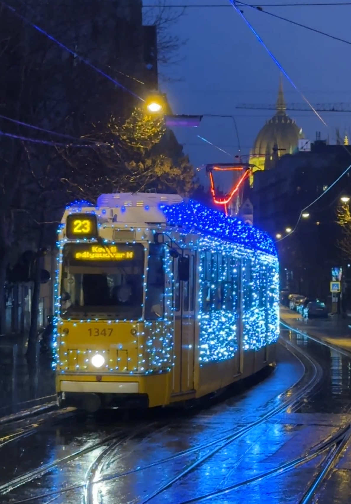 Christmas trams of Budapest 🎄🚋✨❤️  #budapest #budapesthungary #budapesttravel #budapest2024 #budapestguide #budapesttips #budapest🇭🇺 #hungary #magyartiktok #magyar #budapestchristmas #budapestchristmastram 