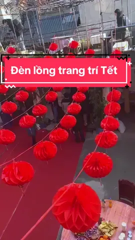 Tết đến thích nhất khoảnh khắc cả nhà cùng nhau trang trí nhà cửa đón Tết❤️❤️ Các bác thích vừa Rẻ-Tiện lại vừa Rực Rỡ không khí Tết thì cứ treo đèn lồng loại này ạ #denlongtrangtritet #tet2025♥ #denlong #trangtritet #medogiadungtienich 