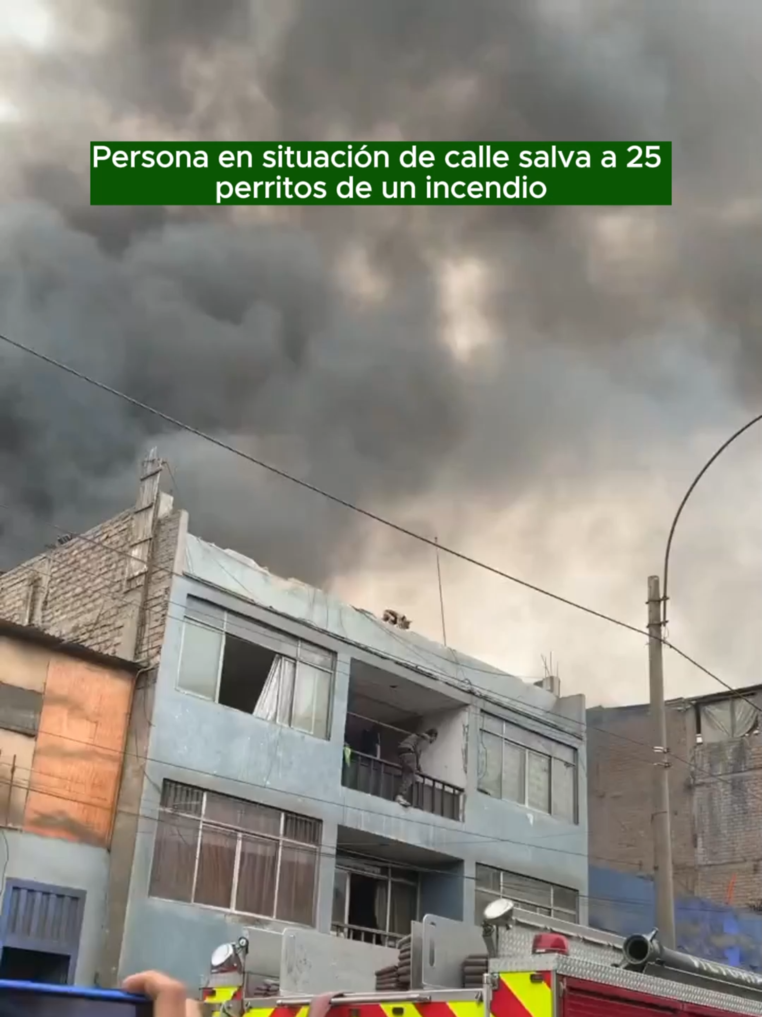 Hace ya un año, el colombiano Sebastián Arias se hizo viral al rescatar a 25 perros de un incendio ocurrido este viernes en Gamarra, Lima (Perú). El hombre, que vivía en un puente cercano, vio cómo el fuego de una fábrica de reciclaje se extendía a casas vecinas y no dudó en trepar la fachada de un edificio y uno a uno tomar y lanzar a los perros que estaban atrapados en el techo de una vivienda.  Arias había trabajado antes en la fábrica de reciclaje y conocía que una vecina usaba su vivienda como refugio animal, por lo que sabía cuántos animales había y donde estaban localizados. En la calle, un grupo de vecinos se organizó para colocar sábanas y colchones que amortiguaban la caída de los perros que iban siendo lanzados. #OzonoTv #noticia #importante #perrito#rescate