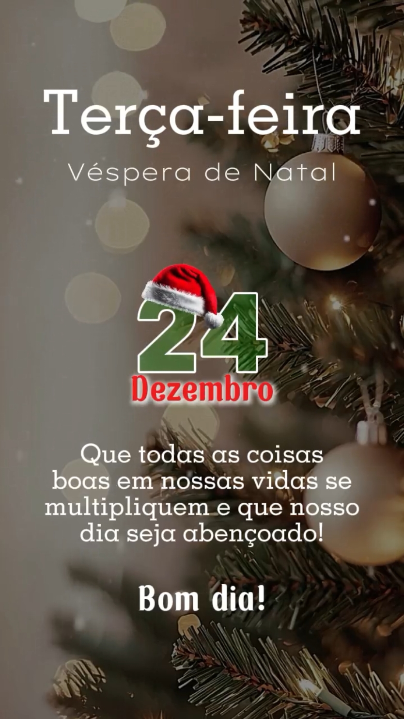 #CapCut #stories #bomdia #natal #tercafeira 