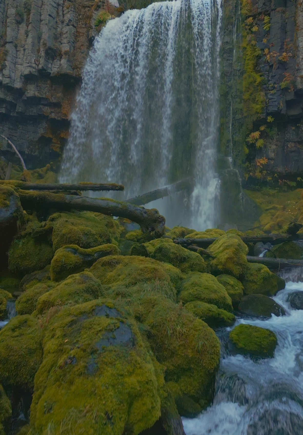 Flying over a beautiful river toward a magnificent waterfall, framed by moss-covered rocks and basalt columns—a breathtaking fusion of power and tranquility 😍 #nature #Outdoors #cinematic #calm #waterfall 