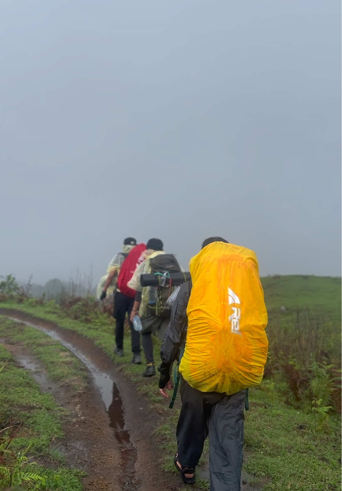 wet track🌧️🫀 #Hiking #Outdoors #mountains #rinjani #indonesia #fyp 