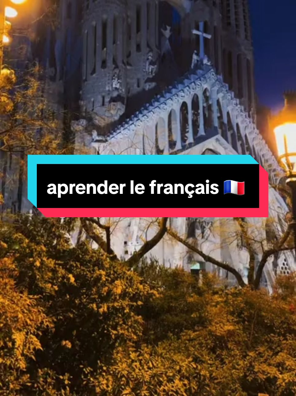 تعلم اللغة الفرنسية للمبتدئين 🇲🇫 aprender le français 🇲🇫 #france🇫🇷 #AprendeConTikTok #paris #marseille #francais #livefest2024 ,