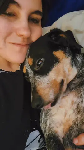 #stitch with @Bailey Z I love her sm 🥰 #mydogismybestfriend #rescuedog #blueheeler #MentalHealth #MentalHealthAwareness 