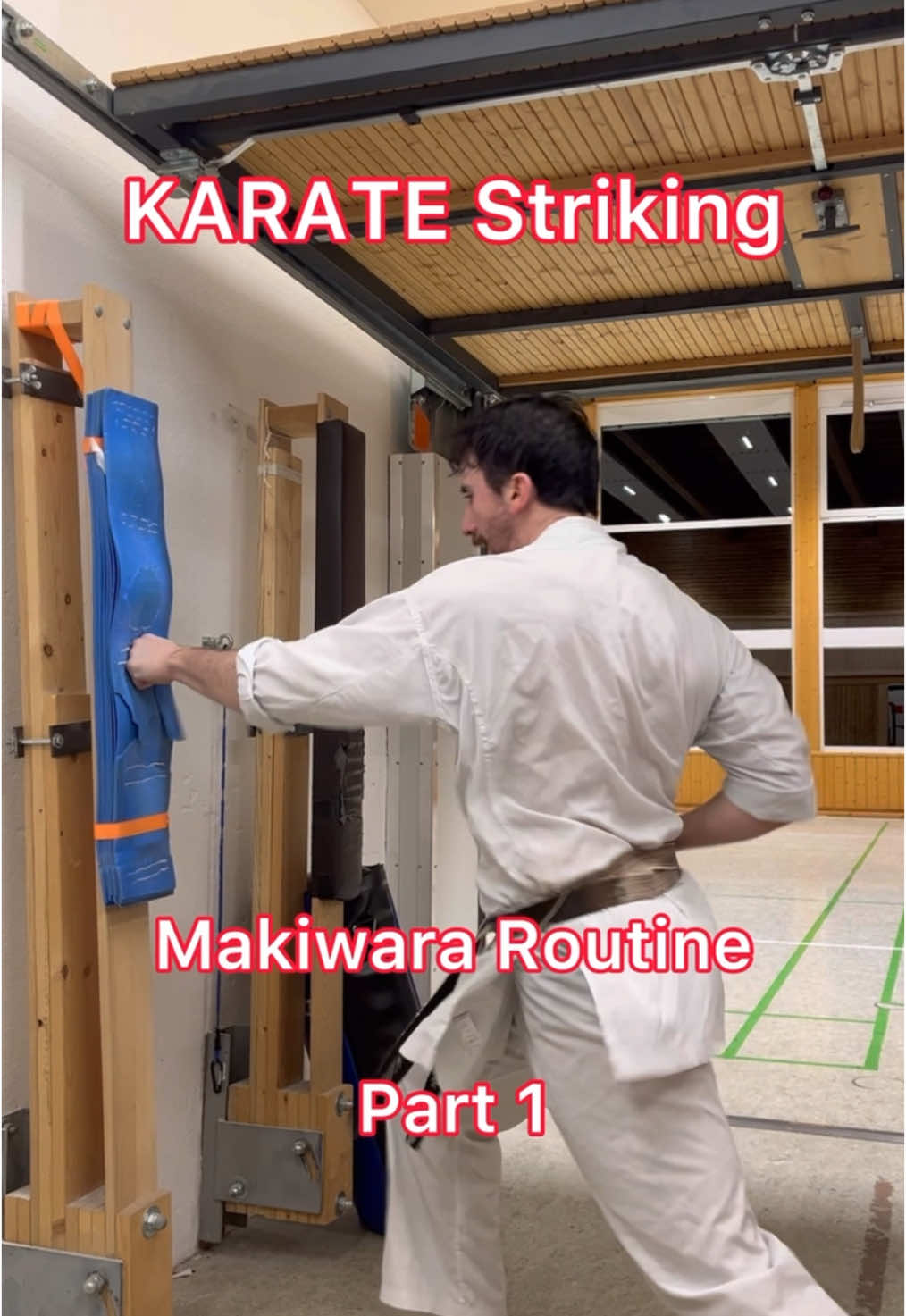 KARATE Striking Part 1 🥋 Try it! #karate #shotokan #training #oss 