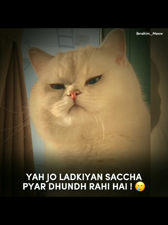 HAA?!? MAIN NAJAR KYON NAI A RAHA 🥲 #fyppppppppppppppppppppppp #foryou #foryoupage #viral #viralvideo #capcut #ibrahim_meow #ibi #cats #videos 