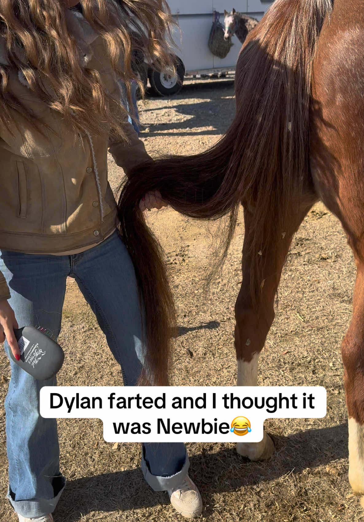 He told me not to post this but I thought it was funny 😂 #barrelhorse #dylanandsydney #trending #funnyvideo #fyp 