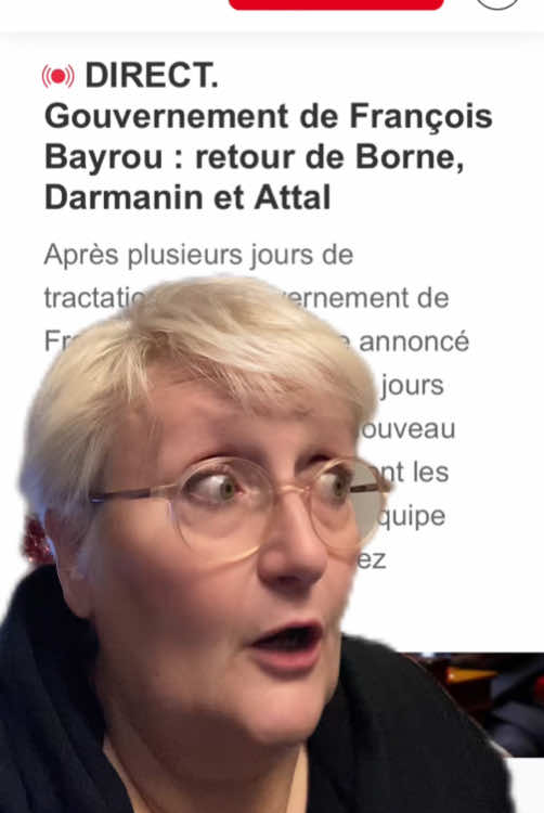 Gouvernement Bayrou ! On prend les mêmes et on recommence #gouvernementbayrou #france🇫🇷 