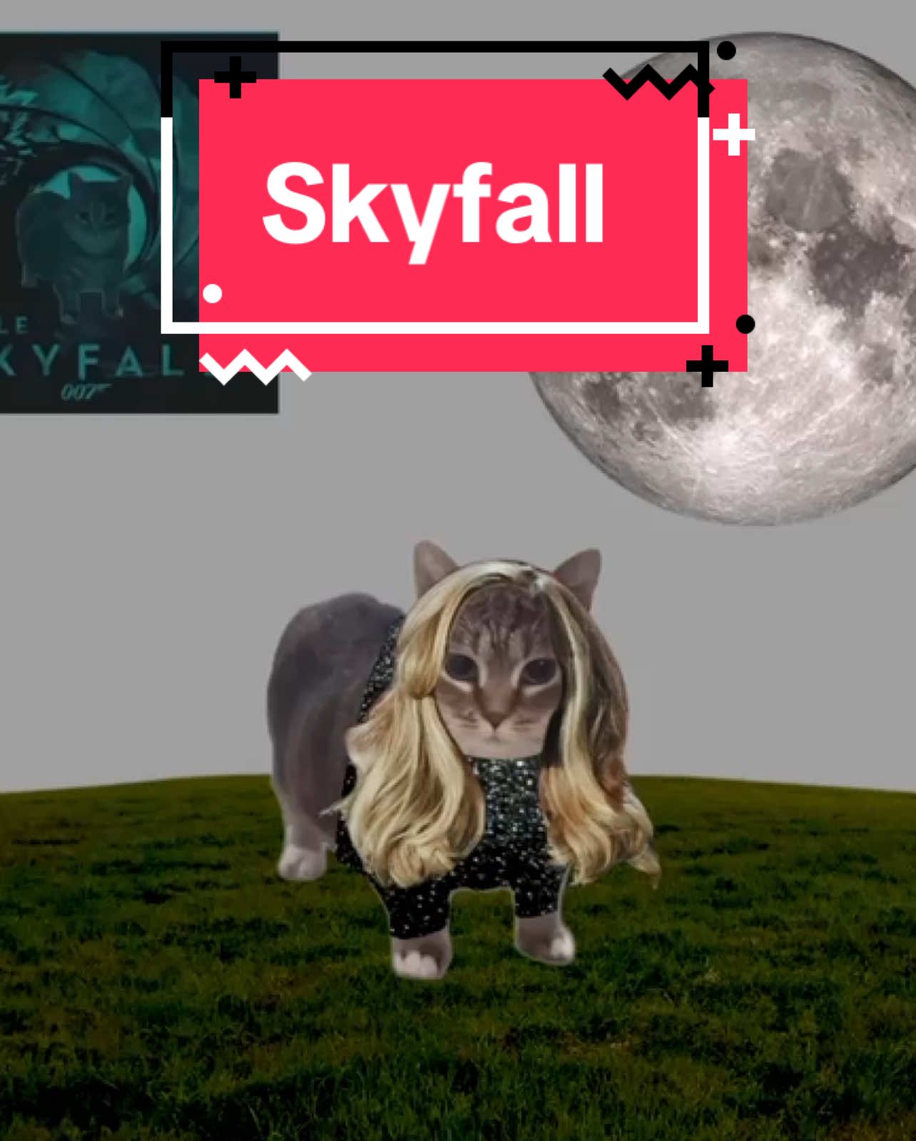 OIA cat sings Skyfall! #cats #catsoftiktok 