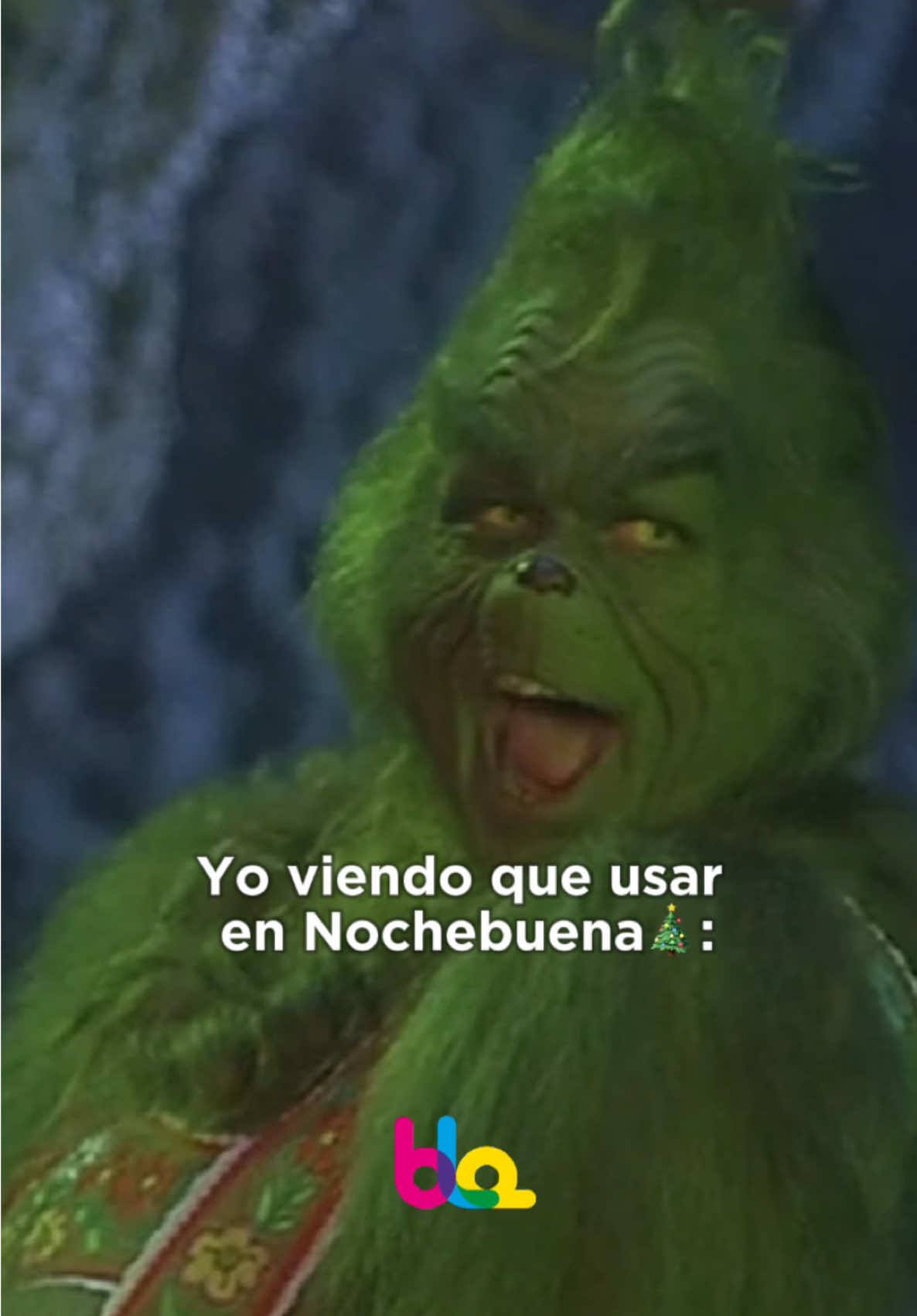 Confirman que todxs somos el Grinch a la hora de elegir nuestro outfit navideñooo??🎄🎄❤️❤️ #grinch #navidad #christmas #navidadentiktok #grinchtiktok #elgrinch #blaenvivo 