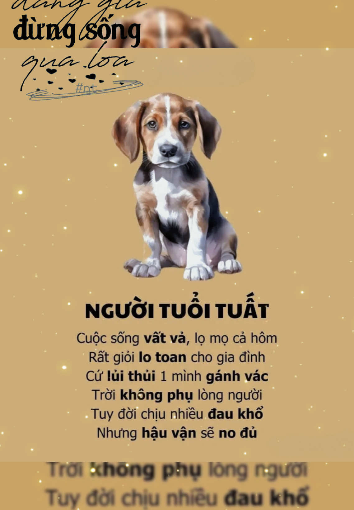 Tuổi Tuất ơi... các bạn sao rồi ! #tuvi #tuoituat 