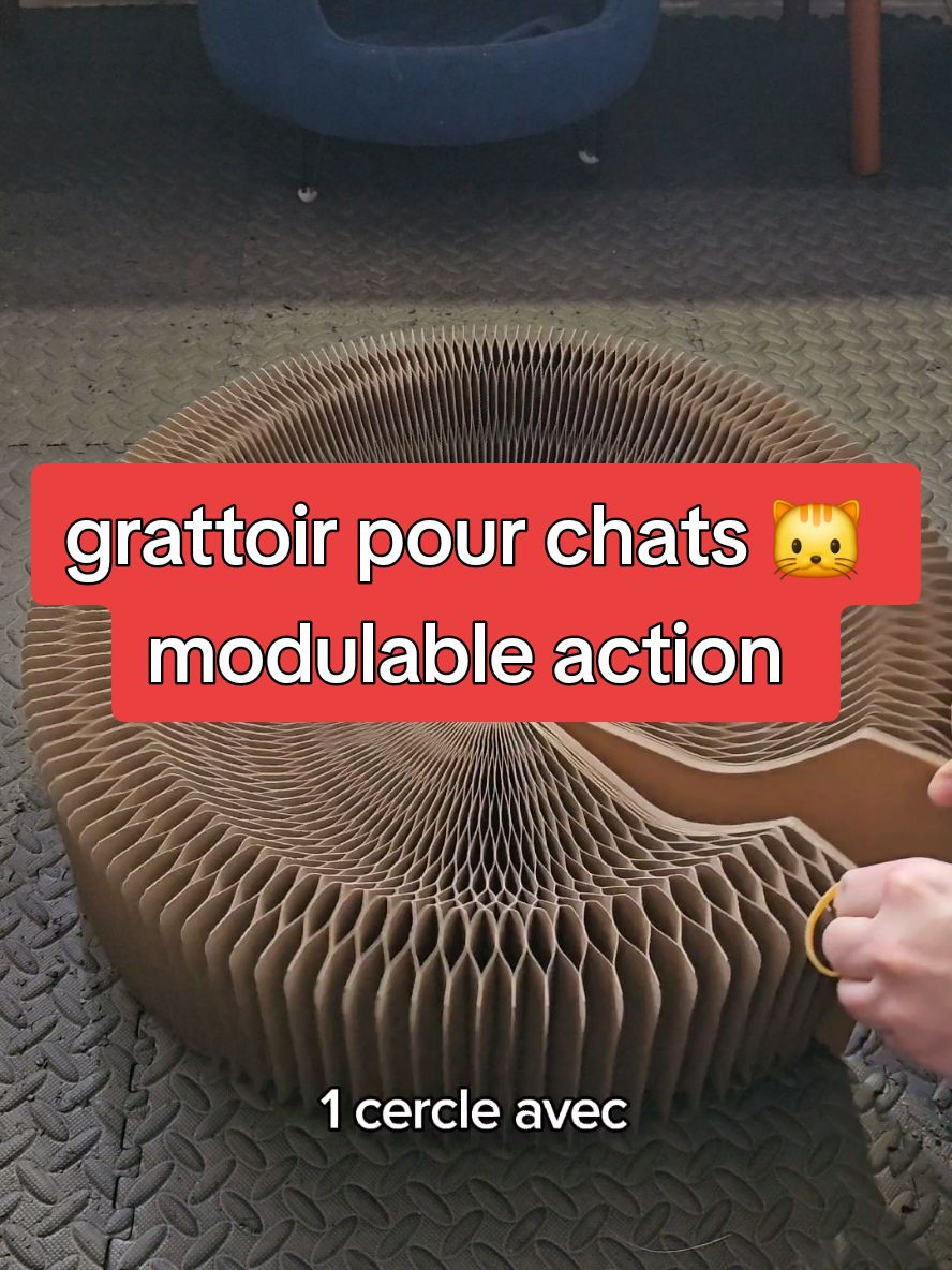 Je teste un grattoir pour chats 🐱 modulable #essai #teste #test #magasinaction #action 