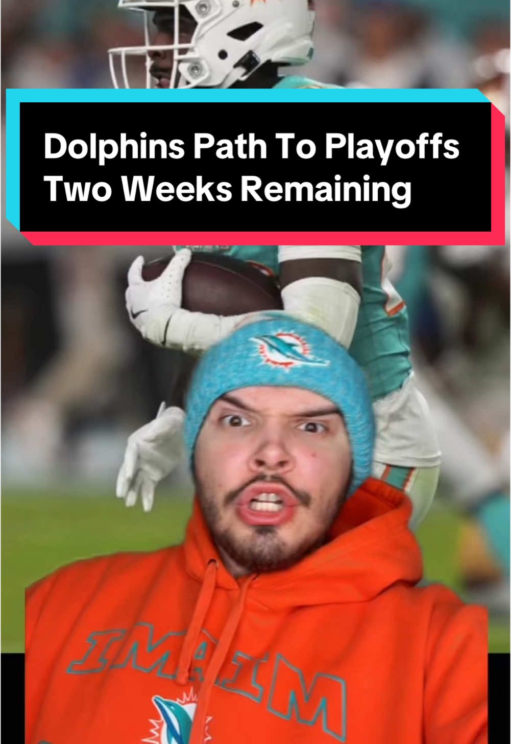 Dolphins Path To Playoffs With Two Weeks Remaining #nfl #nfltrending #nflviral #dolphins #trending #playoffs 