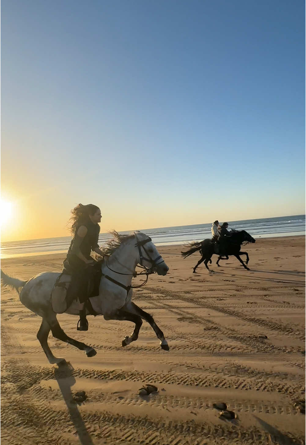 The feeling of flying without wings 🇲🇦🐎❤️💫 👉🏼 We are a Travel Agency based in Essaouira (Morocco). Join us for an unforgettable horseride holidays. Ride the best horses in town, and meet the best team of riders.  . . . . . . #horses #horsesoftiktok #horse #horsetok #equestrian #fyp #cheval #fypage #viral #viralvideo #pferd #horsesontiktok #лошадь #horselove #essaouira #morocco #lovak #caballos #cavalli #horsegirl 