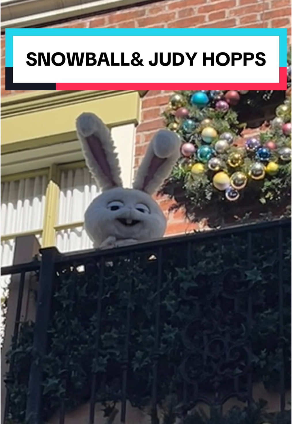 Sbowball just wants Judy Hopps to love him😂🫣@Universal Destinations  #universalstudioshollywood#universalstudios#hollywood#california#losangeles#funny#bunny#snowball#goofy#themepark#nice#foryou#fyp#fy#besties#bff#friendship#Love#secertlifeofpets#lol#2024#zootopia#judyhopps 