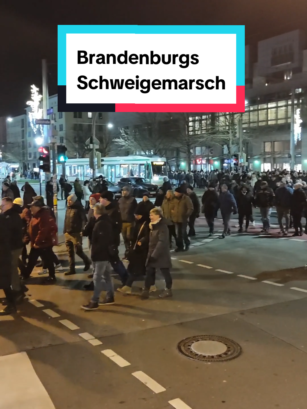 Brandenburgs Schweigemarsch 23.12.24 #politics #blumen 