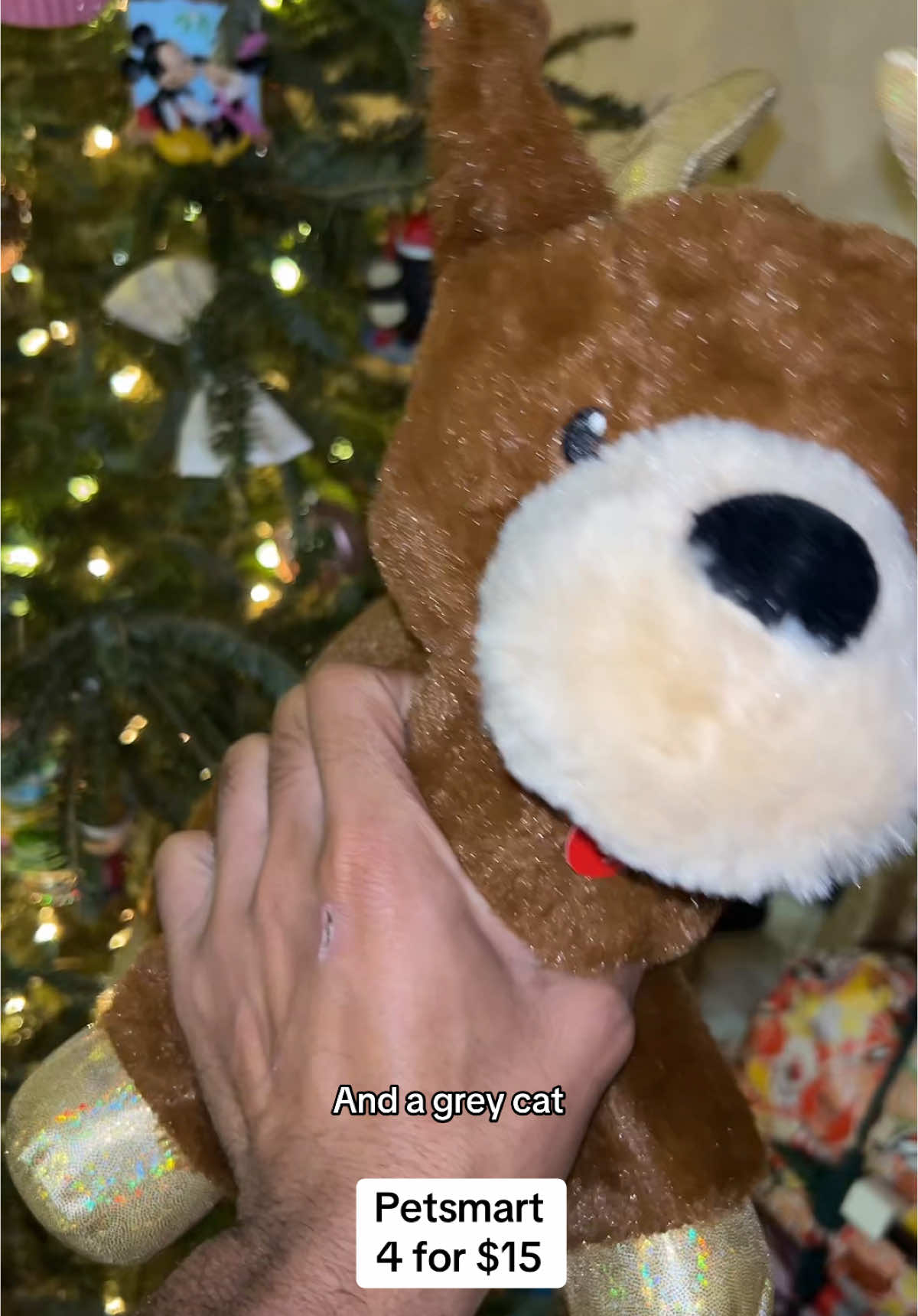 #petsmart #plushiesfordogs #plushies #christmas #dogchristmas #fyp 