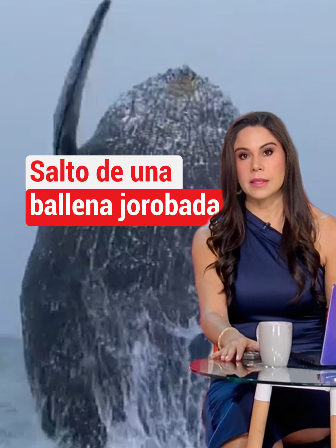 🐋🌊 El salto majestuoso de una ballena jorobada. Un salto capturado en video muestra la fuerza y majestuosidad de esta especie en peligro. #Ballenas #VidaSalvaje #Naturaleza #Océano