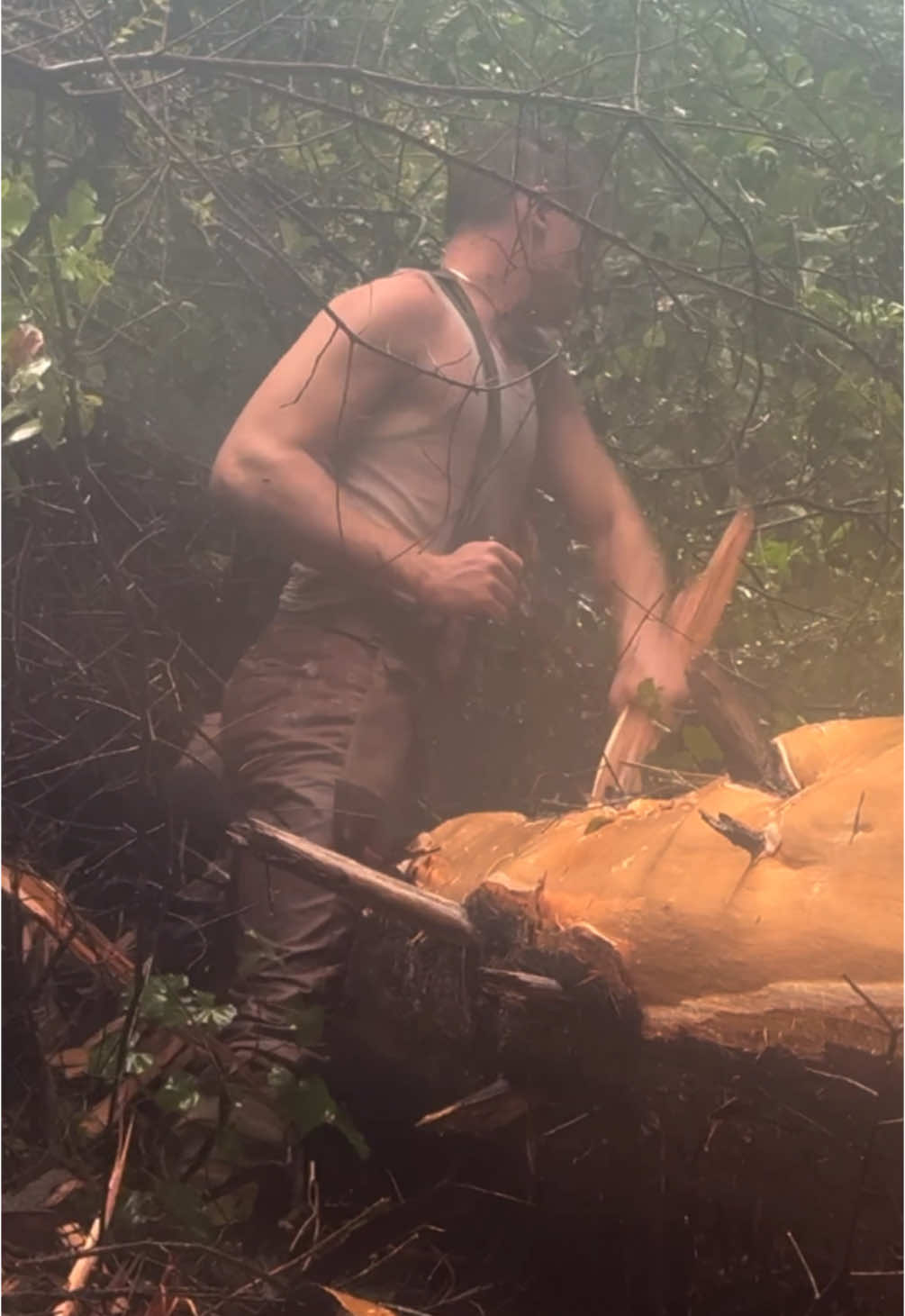 Building a Log Cabin by Hand Part 11. We fell more trees and even come across a tree that was pushed over by wind in rain. We debark them then get them ready to be using in the Log Cabin! #logcabin #cabin #crosscutsaw #lumberjacks #bushcraft #Outdoors #handtools #axe #cabinlife #nature #rdr2 