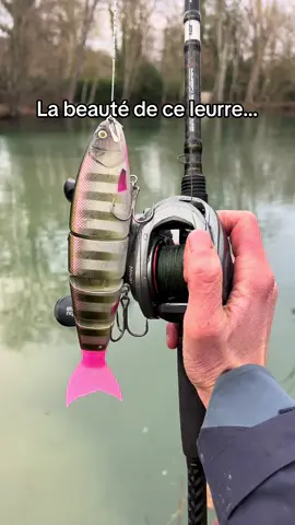 Personne ne comprendras … #peche #balam #leurre #japonnais #exception 