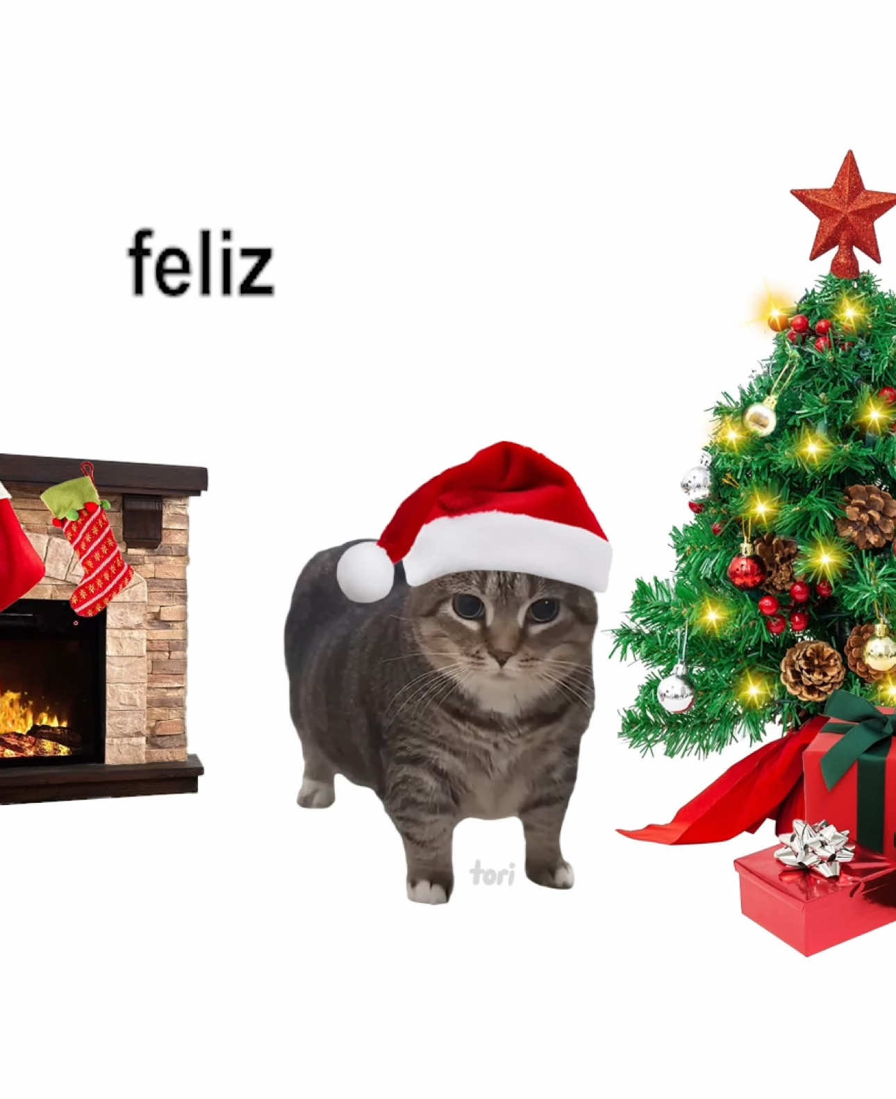 Feliz uia ✨🎄@Ethel the OIIA Cat #cats #gato #feliznavidad #christmas #navidad #foryou #parati 