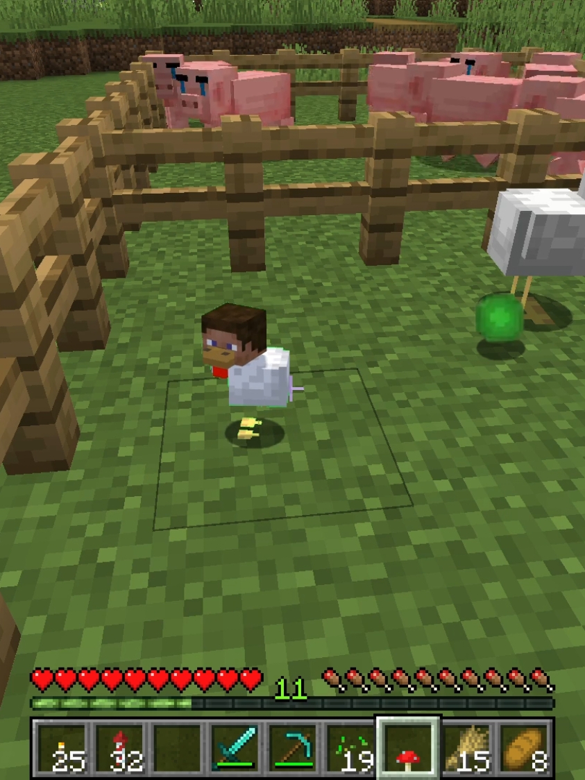 the new Chicken Steve 🐣 #Minecraft #chicken #Love #chickenbaby #steve #strange #pigs  #minecraftmemes #minecraftfarm #stevehead #minecraftrealverse #minecraftanimation #animation #shorts #fypdong #fyp 