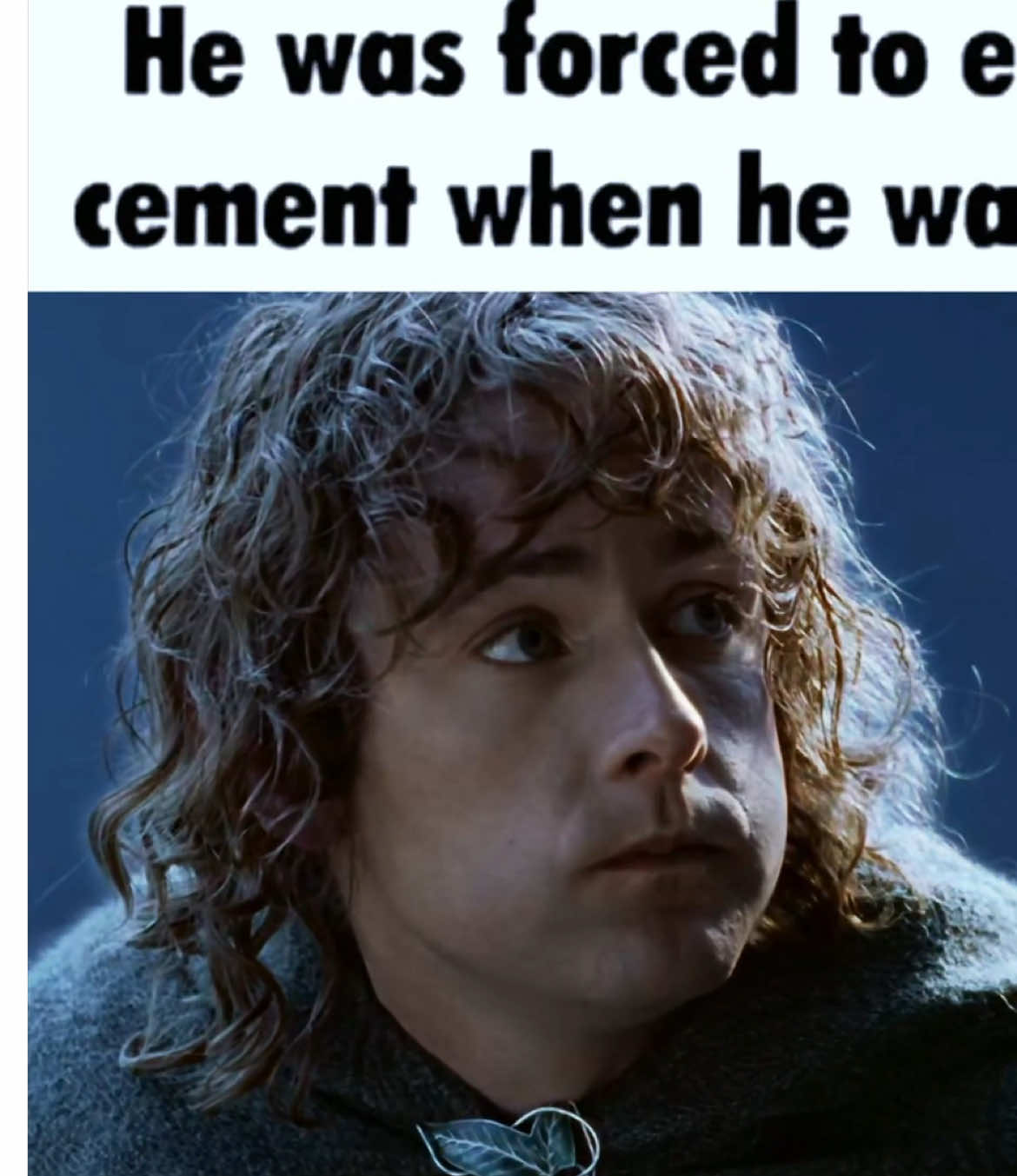 what if i said that this was my fave thing ive ever made 🙂‍↕️ #pippin #pippintook #billyboyd #lotr #lotrtok #lordoftheringstiktok #lordoftherings #jollyposting #hohoho @lothlo ✧˚ · . ⚔️ @liz @ly shiz @Ly ✮⋆˙ @𝐋𝐢𝐳𝐳𝐲 𝐨𝐟 𝐕𝐚𝐥𝐢𝐧𝐨𝐫 