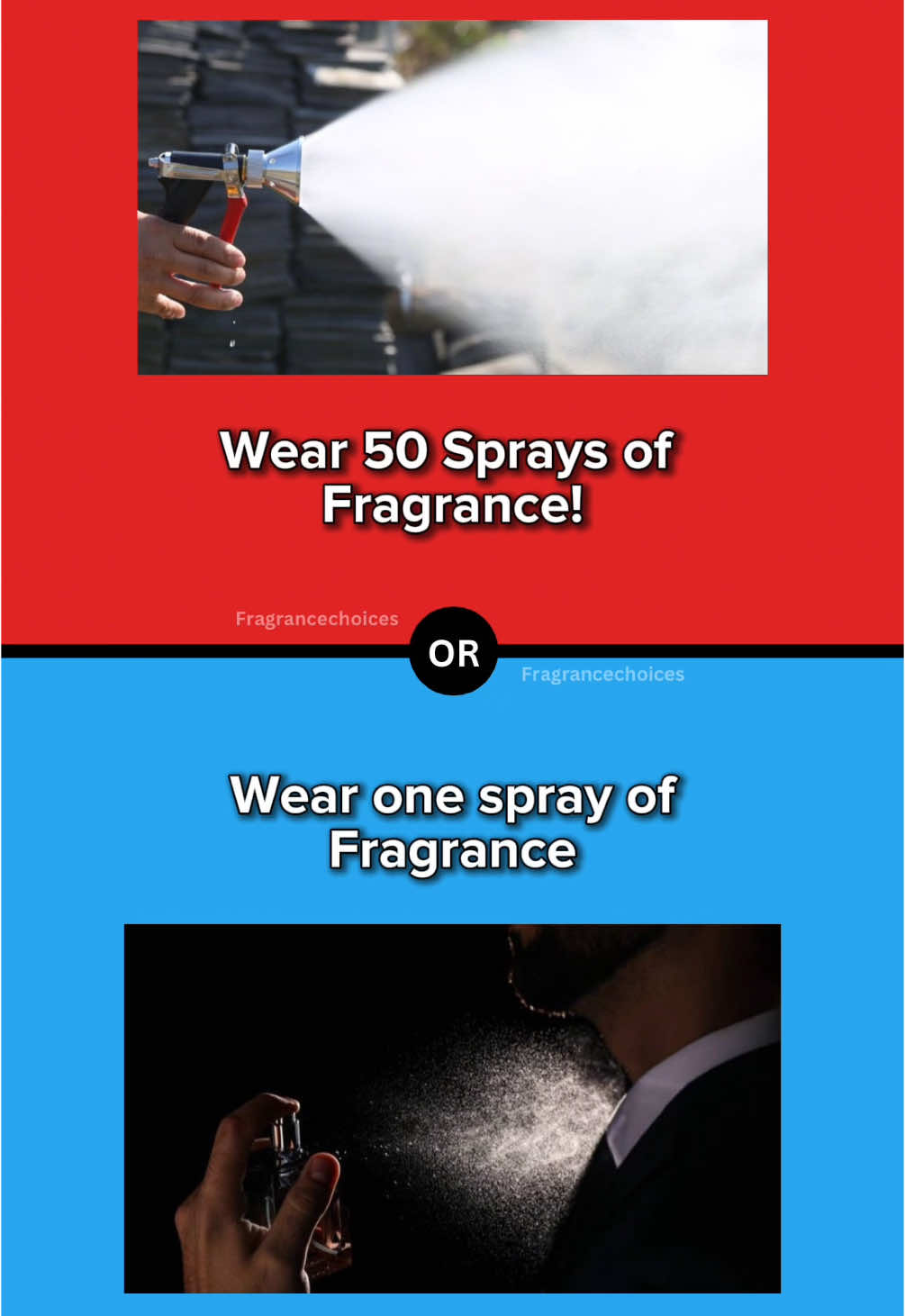 Fragrance would you rather | Part 73 🔴🔵 | #winterfragrance #fragrances #mensessentials #wouldyourather #thisorthat #fragrancesprays #fragrancetips #viral #fragranceshopping 