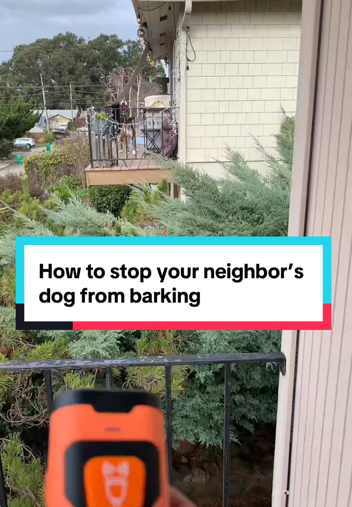 How to stop your neighbor’s dog from barking #howto #barking #dog #puppy #neighbor #DogTraining #pets 