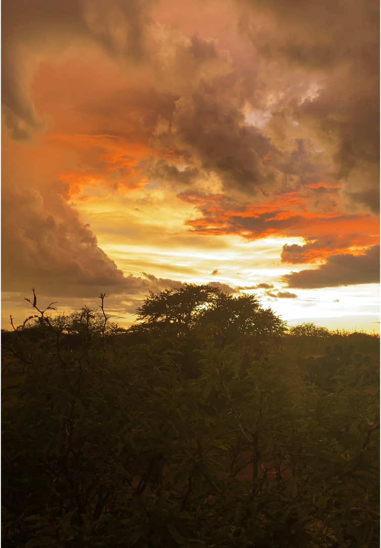 Que Bonito A….                                                                                                                                                               #Viral #parati #fouryoup #pyf #pinchetiktokponmeenparati #pyfツ #videoviral #Edit #tiktok #mexico #rancho #cielo #pueblo #jalisco #paisajes #guadalajara #musica #vidaderancho #atardecer #VicenteFernandez 