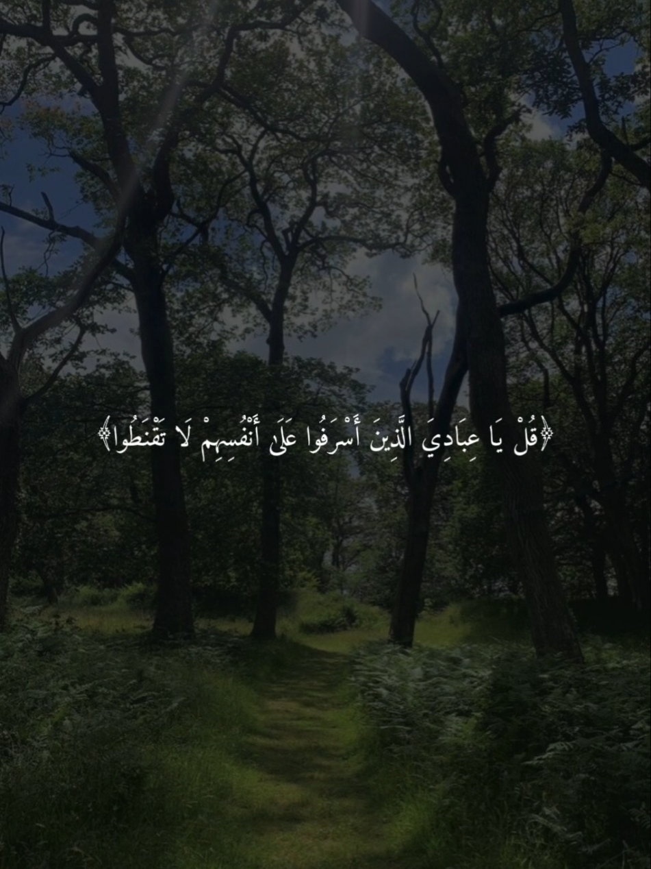 سورة الزمر الآية 53-59 #سورة_الزمر #اسلام_صبحي #القران_الكريم #قران_كريم #قران_كريم #تاج_الذكر #لاالەالااللە #لا_اله_الا_الله #اكتب_شي_توجر_عليه #ارح_سمعك_بالقران #quran #تصميمي 