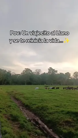 Lo Mejor de lo Mejor...😍👑🇻🇪 #llano #venezuela #paisajes #vida #aire #monte 