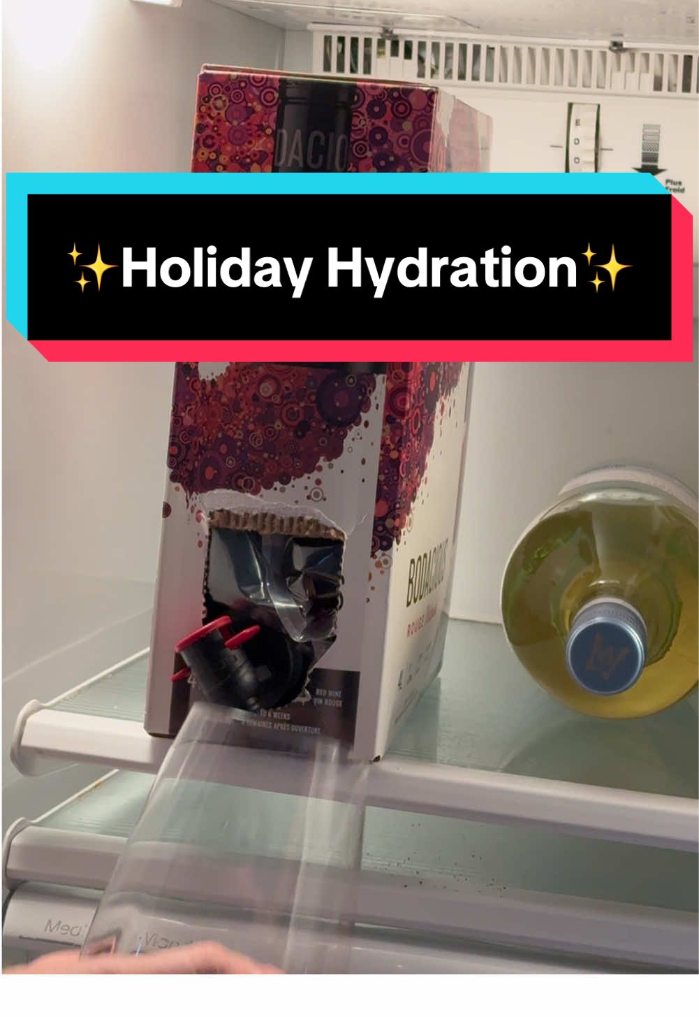 Holiday Hydration 🤌🏻#happyholidays #hydration #wine #winetiktok🍷 #keestercomedy #viral #relate #drinktok #christmas #merrychristmas