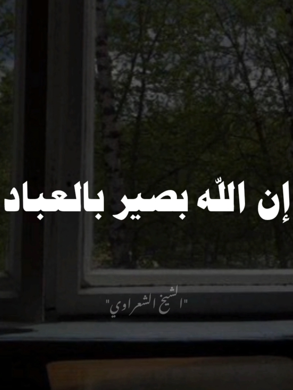 ان الله بصيرا بالعباد❤ #صلي_علي_النبي #صلوا_على_رسول_الله #الشيخ_الشعراوي #محمد_الشعراوي #الشعراوي 