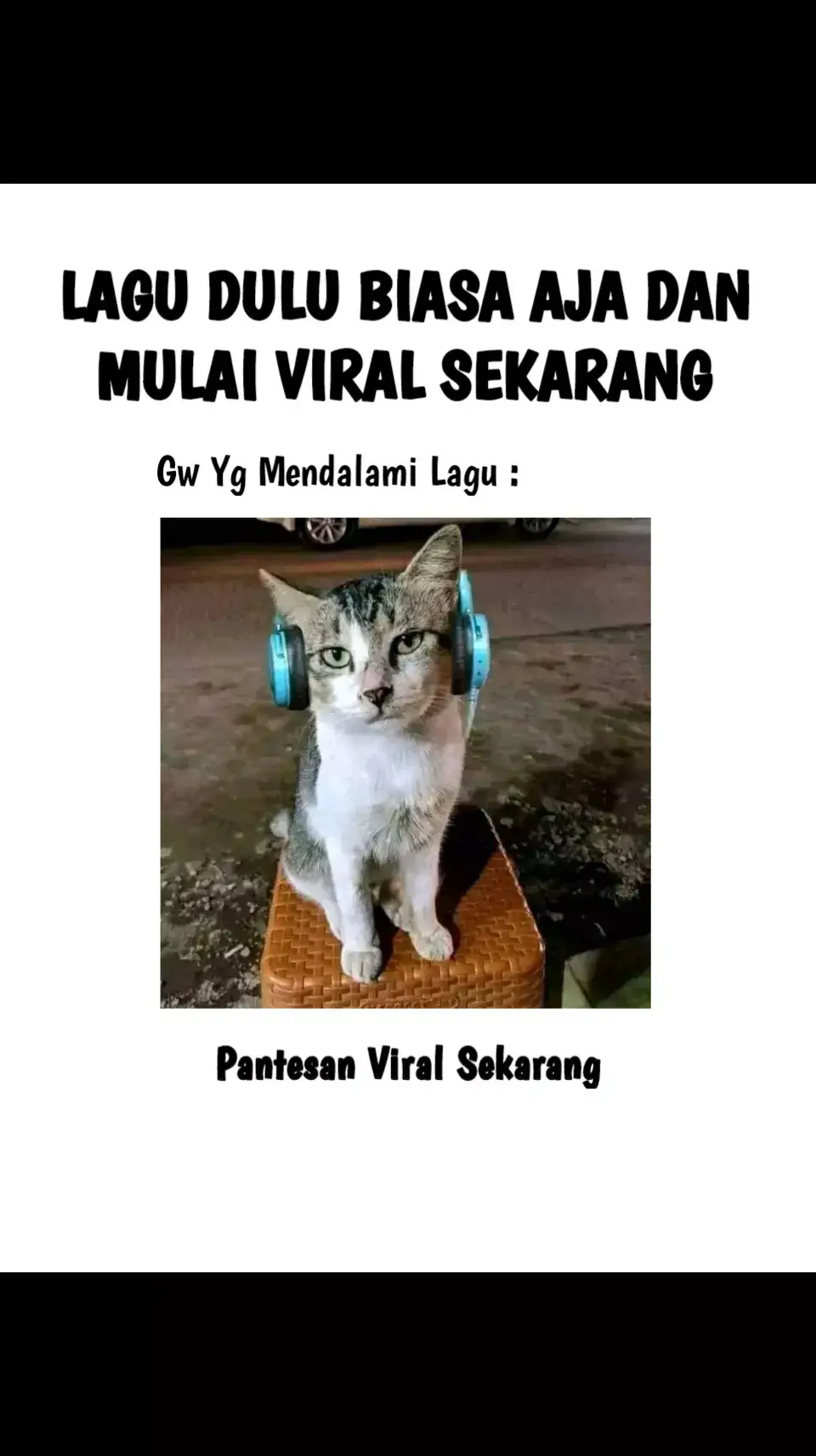 #foryou #fyp #laguold #memekucing #mentahanlagu #fypppppppp #lagu #pov #fyppp 