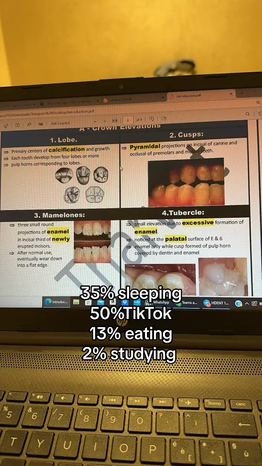 #onthisday #fyp #الفيوم #طب_اسنان #جامعات #جامعه_مصر_للعلوم_والتكنولوجيا #MUST