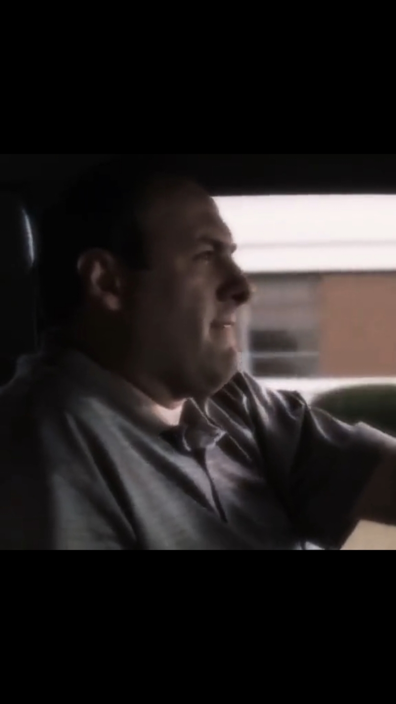 Miss you...                                                 #fyp #moviescene #thesopranos #tonysoprano #mood #series #movies #movie 