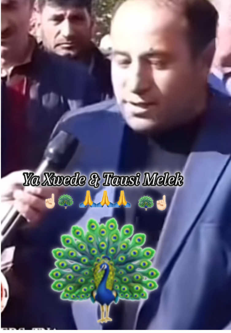 Ya Xwede & Tausi Melek 🙏🦚☝🏻#shingal #shingali74 #lalishnurani🦚🔴☀️⚪🦚🕊❤🦚❤ #lalish #ezid #ezidxan #yezidentum #yezidentum🦚 #yezide #ezid #ezide #🦚👑 #ezidi🦚 #virale #🦚🦚🦚🦚🦚 #viral_video #viralvideos #tausimelek #ezidixan 🦚🦚🦚☀️☀️☀️☝🏻☝🏻