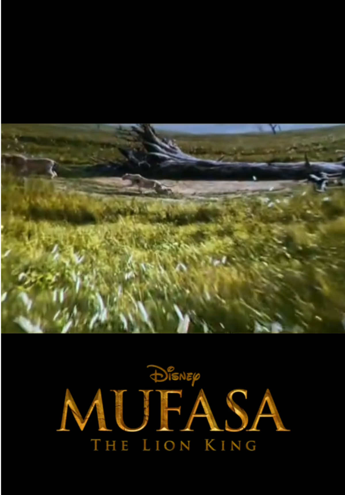 How to watch Mufasa: The Lion King #mufasa #mufasa2024 #mufasaedit  #creatorsearchinsights#scar #thelionking #disneymovies #elreyleon #foryou#trending #fypage #viral 