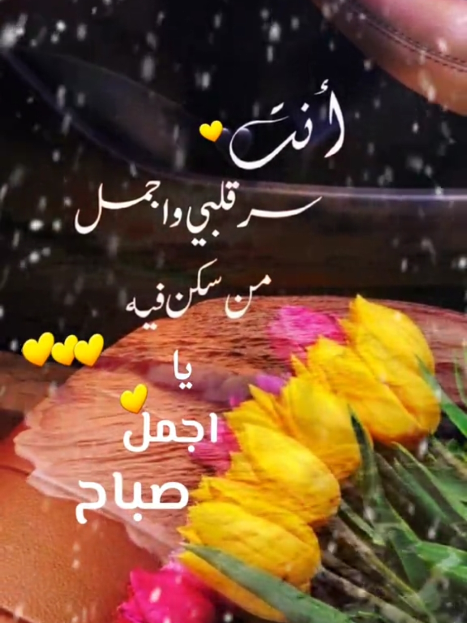 أنت_سر_قلبي_وأجمل_صباح_يسكن_روحي#💛 #حب #رومانسي #انت_قلبي#❤️  #حبيبي#صباح_الخير #صباح #flowerdiaa 