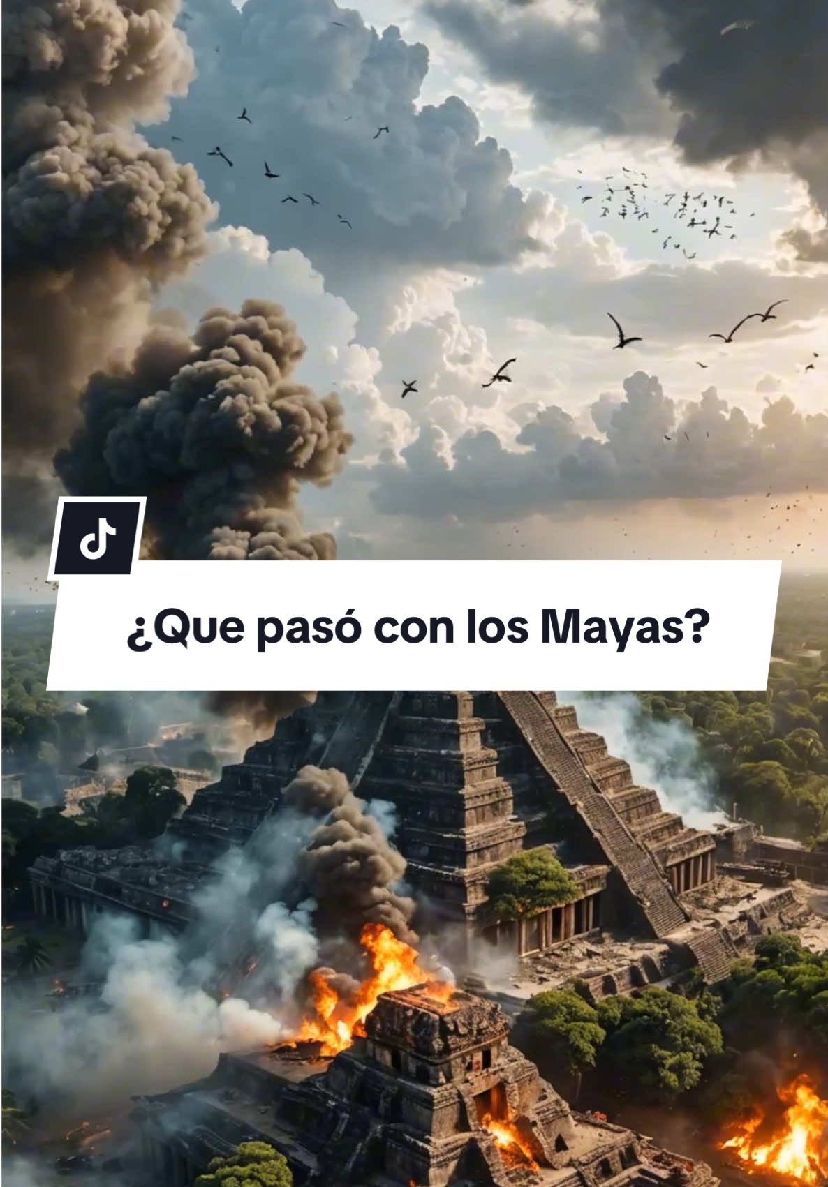 El misterio de la desaparición maya. #mayas #historia #cultura #misterios #civilizacion 