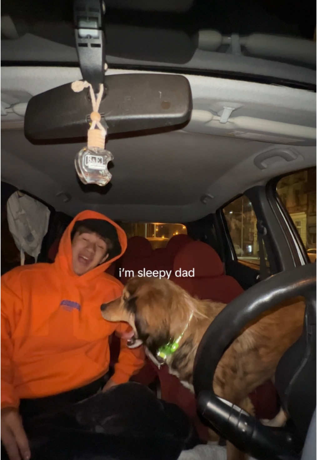 Sleeping in the car with my dog