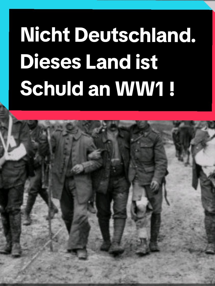 Man hat Deutschland ruiniert mit dieser Schuldzuweisung. #wusstestdu #Fakten #tiktokwissen  #geschichte #history #speakthetruth #deutschland 