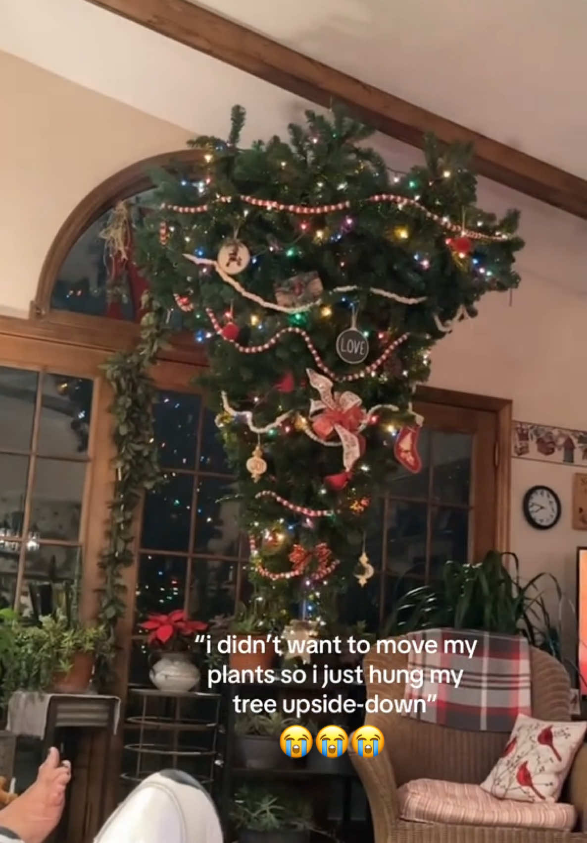 This is so iconic 😭 (@Quinn Wrigley) #family #christmas #tree #funny #comedy #relatable #hoest 