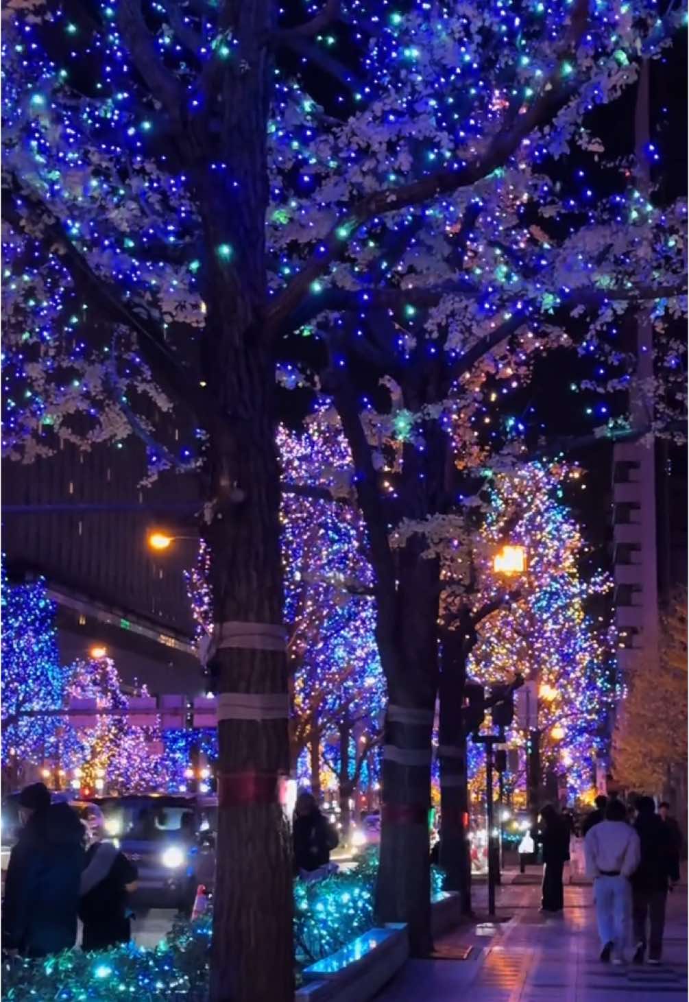 Osaka’s Midosuji Illumination: A Night of Magical Lights! ✨🌟 #OsakaLights #MidosujiIllumination #HolidayMagic #JapanVibes #tiktok #fyp #foryoupage #foryou #japan #japantiktok #christmas #christmastiktok #japantravel #fypシ #tiktokviral #大阪観光 #大阪旅行 #大阪市