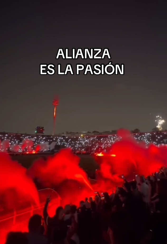 #alianzalima #alianzacorazon #matvte #alianzalimacorazonn💙🇵🇪 #alianzaeslapasion #barra #1901 #comandosvr #alianzalima💙 #alianzalimaoficial 