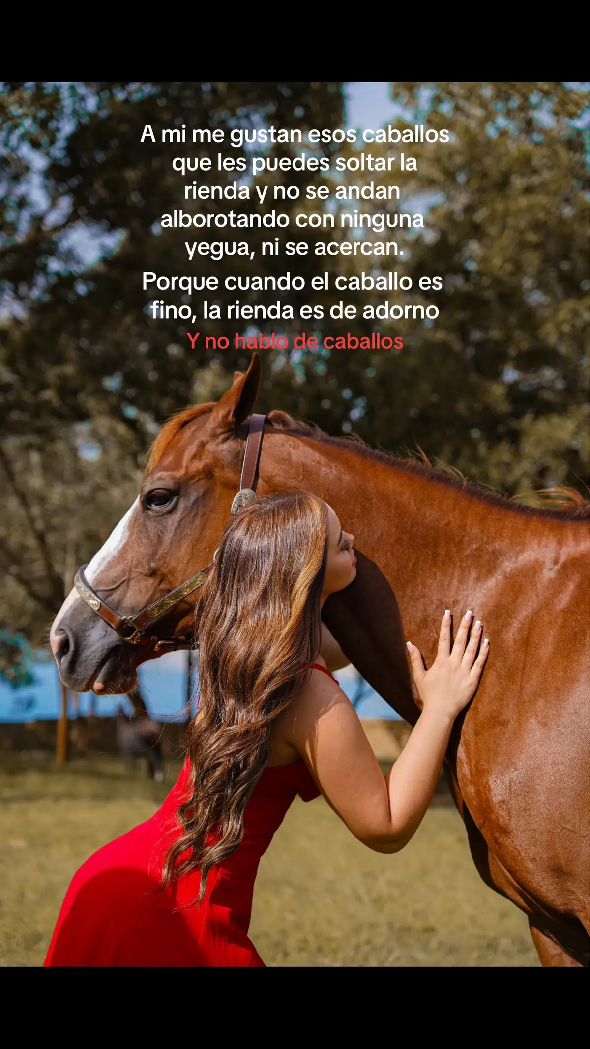 #caballos #horse #fypage 