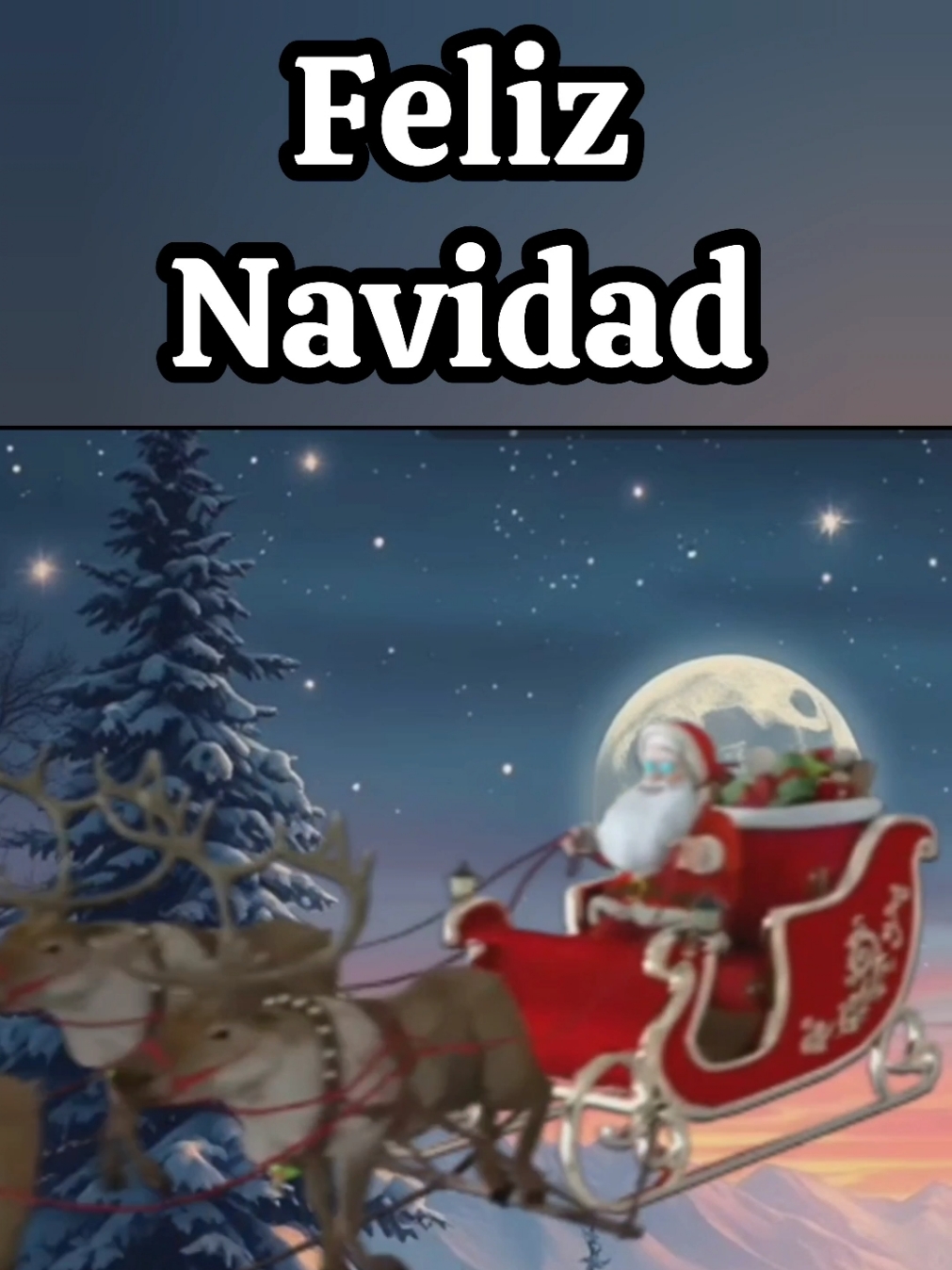 Feliz Navidad 🎄🎇  ........ #feliznavidad #merrychristmas #felicesfiestas #navidad #navidad2024 #paratii #risasyversosalfaniela #fyp #videosgraciosos #santaclaus #short #paratii 