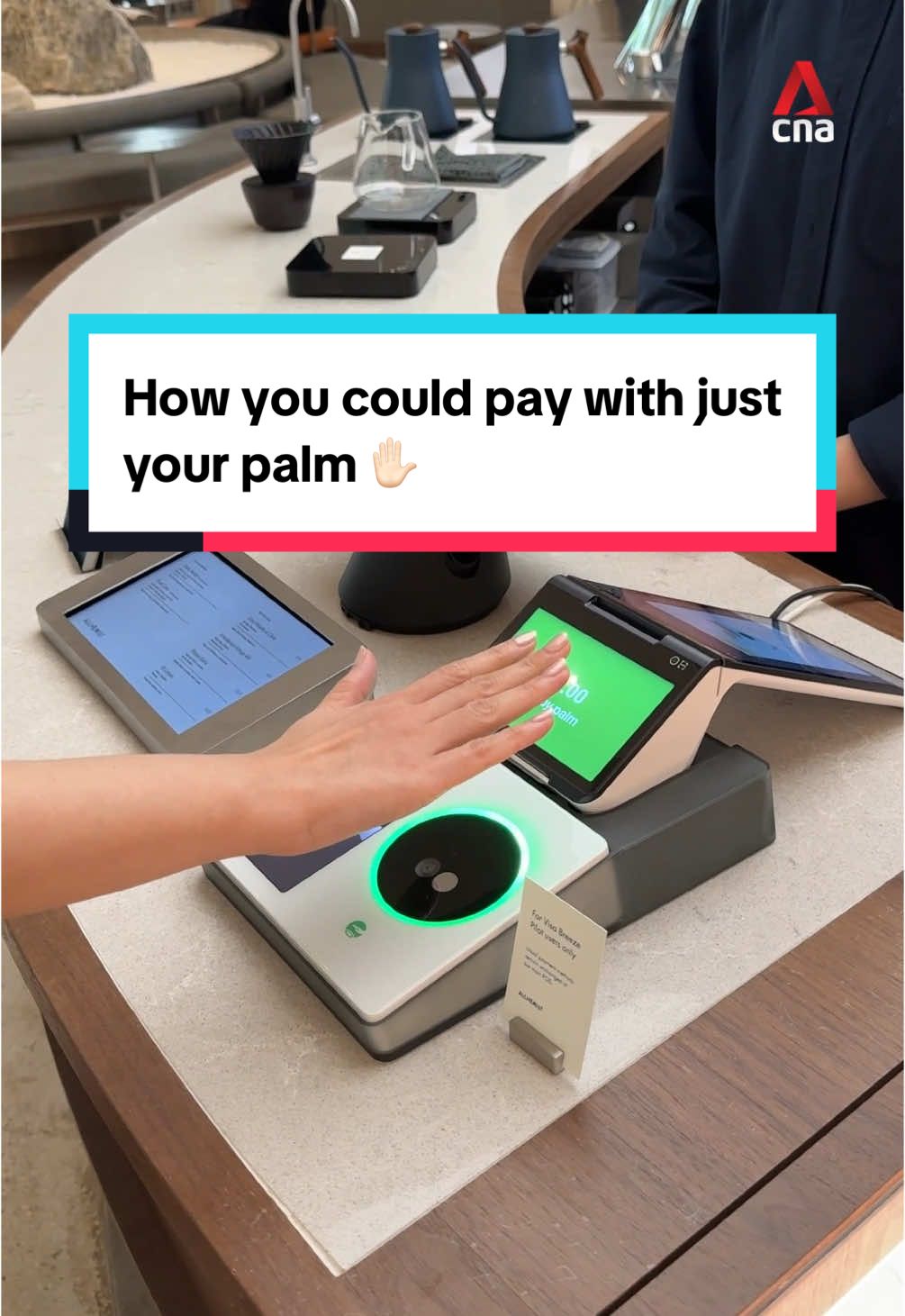 ✋🏻 No wallet, no phone, no problem. Here's how you could pay with just your palm in the future. The pay-by-palm pilot is slated to expand to Visa cardholders from DBS, OCBC and UOB, though the company has not said when it plans to do so. #singapore #sgnews (Video: CNA/Jeremy Long)