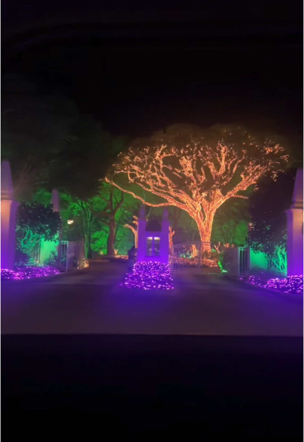 Christmas time in 🇧🇧 #christmas #christmaslights #fyp #barbados #caribbean #fypp 